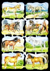 imágenes brillantes - 8 Pferde 