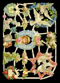 glossy pictures - Tauben und Blumen