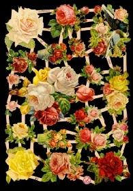 imágenes brillantes - Rosen mit Tauben