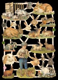 imágenes brillantes - Junge mit Kaninchen