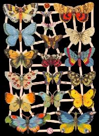 imágenes brillantes - Schmetterlinge 