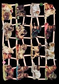 imágenes brillantes - Hunde Motiv 1