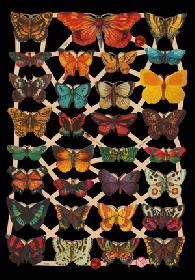 imágenes brillantes - Schmetterlinge