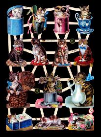 imágenes brillantes - Katzen Motiv 2