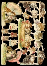 immagini lucide - Katzen