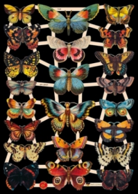 Images brillantes avec du mica argenté - 22 Schmetterlinge