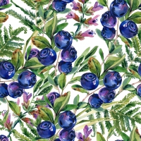 Napkins 33x33 cm - Fresh forrest berries