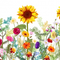 Tovaglioli 33x33 cm - Wild Sunflower