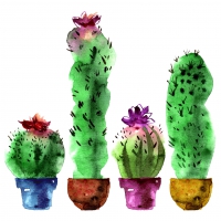 Napkins 33x33 cm - Hi cactus