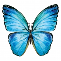 Serviettes 33x33 cm - Butterfly