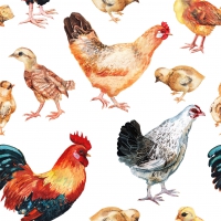 Serviettes 33x33 cm - Lucky chickens