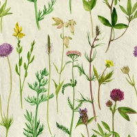 Serwetki 33x33 cm z celulozy trawiastej - Wild flowers