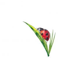 Serviettes 33x33 cm - Ladybug on grass
