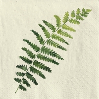 Serviettes 33x33 cm herbe-cellulose - Single fern