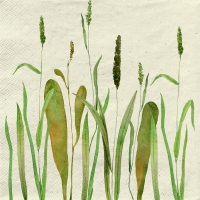 Serviettes 33x33 cm herbe-cellulose - blades of grass