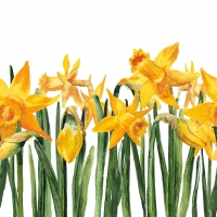 Serviettes 33x33 cm - bright daffodils