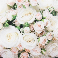 Serviettes 25x25 cm - Romantic Roses