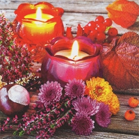 Tovaglioli 25x25 cm - Autumn Lantern