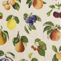 Napkins 25x25 cm recycled - Fruit Lovers