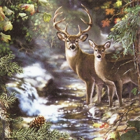 Servilletas 33x33 cm - Deers on a Creek
