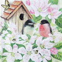 Napkins 33x33 cm - Birds and Blossom