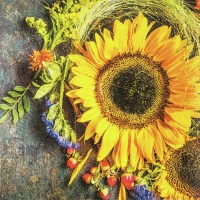 Napkins 33x33 cm - Sunny Autumn