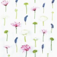 Servilletas 33x33 cm - Flower Composition