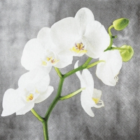 Servietten 33x33 cm - White Orchid