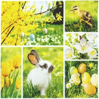Салфетки 33x33 см - Easter Collage