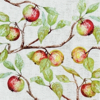 Serviettes 33x33 cm - Apple Branches