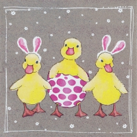 Napkins 33x33 cm - Funny Ducklings