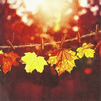 Servietten 33x33 cm - Sunny Fall