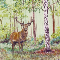 Servietten 33x33 cm - Wild Deer