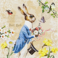 Servietten 33x33 cm - Mr. Rabbit