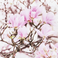 Servietten 33x33 cm - Pink Magnolia