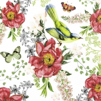 Serviettes 33x33 cm - Bird and Roses