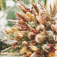 Serwetki 33x33 cm - Dried Flowers
