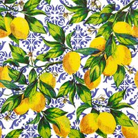 Napkins 33x33 cm - Citrus Branches on Tiles
