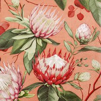 Servietten 33x33 cm - Madiba Protea coral