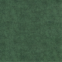 Serviettes 33x33 cm - Modern Colours dark green