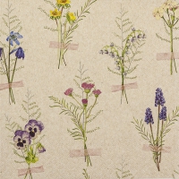 Салфетки 33x33 см - Spring Herbarium
