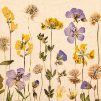 Servietten 33x33 cm - Pressed Flowers