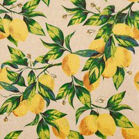 Servilletas 33x33 cm - Citrus Branches eco
