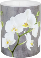 decorative candle - LC White Orchid Ø 99