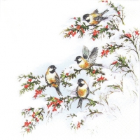 Servietten 33x33 cm - Sophys Birds