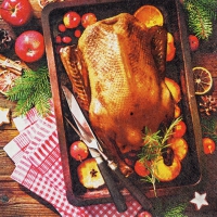 餐巾33x33厘米 - Holiday Roast