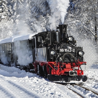 Servilletas 33x33 cm - Prenitztalbahn