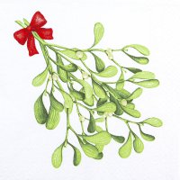Napkins 33x33 cm - Mistletoe Twigs pure