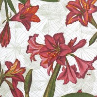 餐巾33x33厘米 - Natural Amaryllis pure
