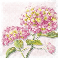 Serwetki 25x25 cm - LOREA rose